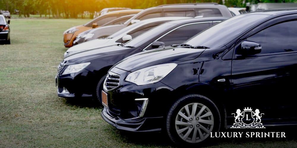 Saloon cars neatly parked on open grass under a clear sky.